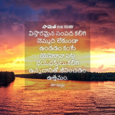 Picture 04 - సామెత 15:16 TELIRV - విస్తారమైన సంపద - Bible Verse Picture