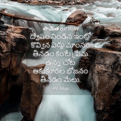 Picture 04 - సామెత 15:17 TELIRV - ద్వేషం నిండిన - Bible Verse Picture