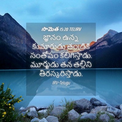 Picture 04 - సామెత 15:20 TELIRV - జ్ఞానం ఉన్న - Bible Verse Picture