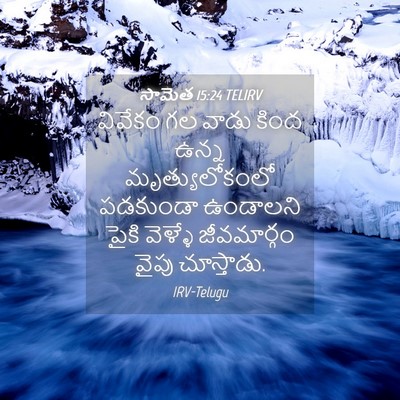 Picture 04 - సామెత 15:24 TELIRV - వివేకం గల వాడు - Bible Verse Picture