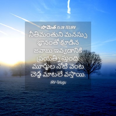 Picture 04 - సామెత 15:28 TELIRV - నీతిమంతుని మనస్సు - Bible Verse Picture