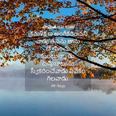Picture 04 - సామెత 15:32 TELIRV - క్రమశిక్షణ - Bible Verse Picture