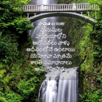 Picture 04 - సామెత 16:1 TELIRV - మనుషుల - Bible Verse Picture