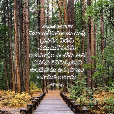 Picture 04 - సామెత 16:17 TELIRV - నిజాయితీపరులకు - Bible Verse Picture