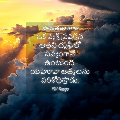 Picture 04 - సామెత 16:2 TELIRV - ఒక వ్యక్తి - Bible Verse Picture