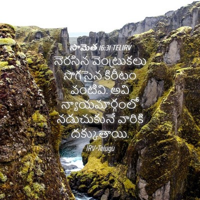 Picture 04 - సామెత 16:31 TELIRV - నెరసిన వెంట్రుకలు - Bible Verse Picture