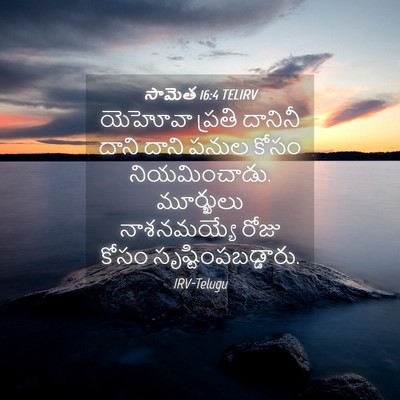 Picture 04 - సామెత 16:4 TELIRV - యెహోవా ప్రతి - Bible Verse Picture