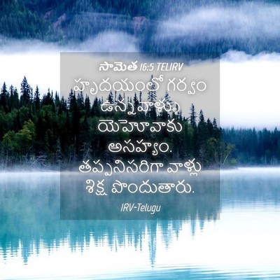 Picture 04 - సామెత 16:5 TELIRV - హృదయంలో గర్వం - Bible Verse Picture