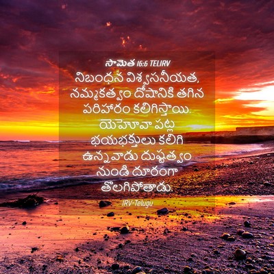 Picture 04 - సామెత 16:6 TELIRV - నిబంధన - Bible Verse Picture