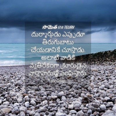 Picture 04 - సామెత 17:11 TELIRV - దుర్మార్గుడు - Bible Verse Picture