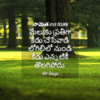 Picture 04 - సామెత 17:13 TELIRV - మేలుకు ప్రతిగా - Bible Verse Picture