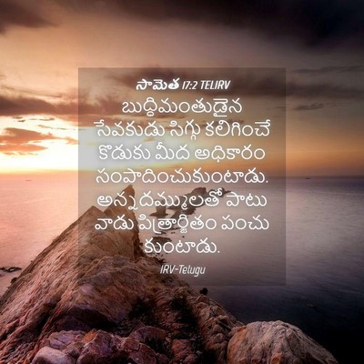 Picture 04 - సామెత 17:2 TELIRV - బుద్ధిమంతుడైన - Bible Verse Picture