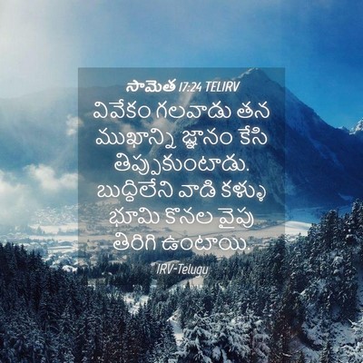 Picture 04 - సామెత 17:24 TELIRV - వివేకం గలవాడు తన - Bible Verse Picture