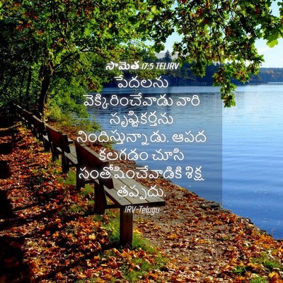 Picture 04 - సామెత 17:5 TELIRV - పేదలను - Bible Verse Picture