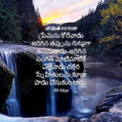 Picture 04 - సామెత 17:9 TELIRV - ప్రేమను కోరేవాడు - Bible Verse Picture