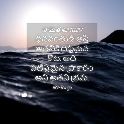 Picture 04 - సామెత 18:11 TELIRV - ధనవంతుడి ఆస్తి - Bible Verse Picture