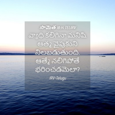 Picture 04 - సామెత 18:14 TELIRV - వ్యాధి కలిగినా - Bible Verse Picture