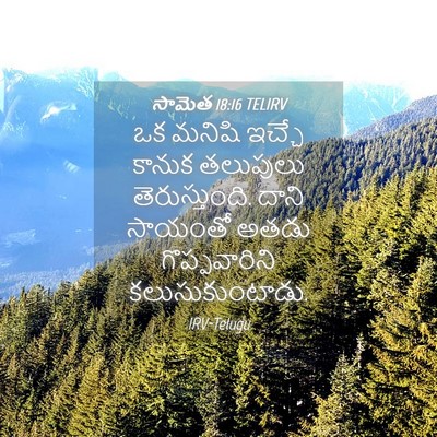 Picture 04 - సామెత 18:16 TELIRV - ఒక మనిషి ఇచ్చే - Bible Verse Picture