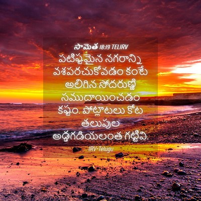 Picture 04 - సామెత 18:19 TELIRV - పటిష్టమైన - Bible Verse Picture