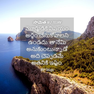 Picture 04 - సామెత 18:2 TELIRV - మూర్ఖుడికి విషయం - Bible Verse Picture