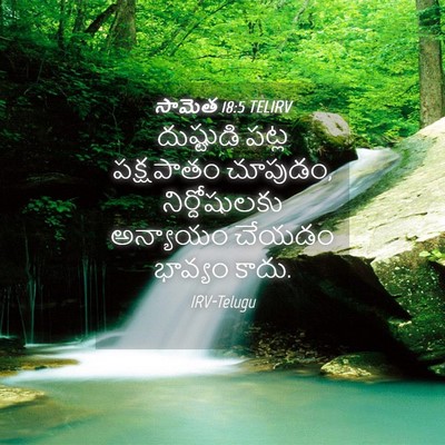 Picture 04 - సామెత 18:5 TELIRV - దుష్టుడి పట్ల - Bible Verse Picture