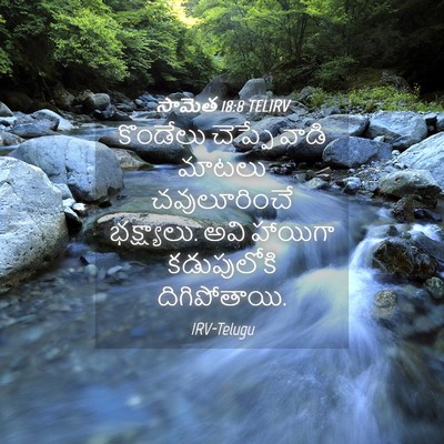 Picture 04 - సామెత 18:8 TELIRV - కొండేలు చెప్పే - Bible Verse Picture