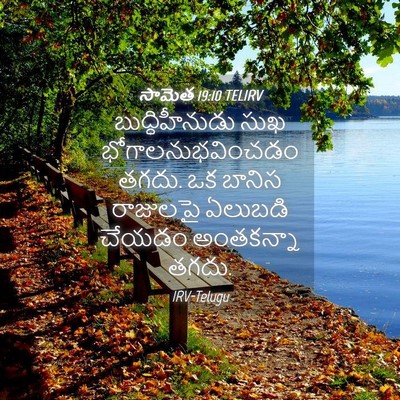 Picture 04 - సామెత 19:10 TELIRV - బుద్ధిహీనుడు సుఖ - Bible Verse Picture