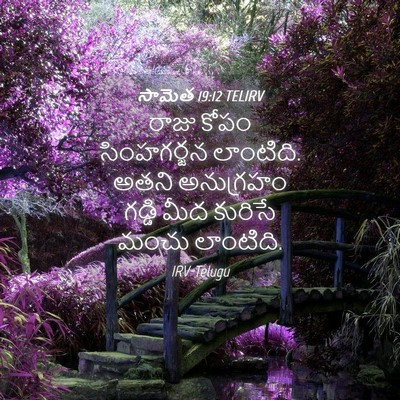 Picture 04 - సామెత 19:12 TELIRV - రాజు కోపం - Bible Verse Picture