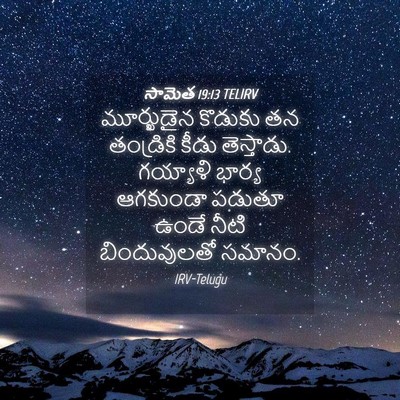 Picture 04 - సామెత 19:13 TELIRV - మూర్ఖుడైన కొడుకు - Bible Verse Picture