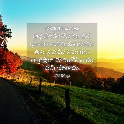 Picture 04 - సామెత 19:16 TELIRV - ఆజ్ఞ పాటించేవాడు - Bible Verse Picture