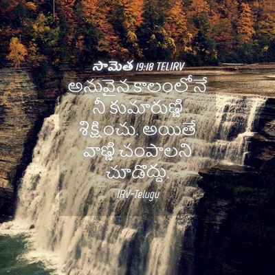 Picture 04 - సామెత 19:18 TELIRV - అనువైన కాలంలోనే - Bible Verse Picture