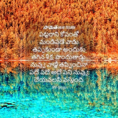 Picture 04 - సామెత 19:19 TELIRV - పట్టరాని కోపంతో - Bible Verse Picture