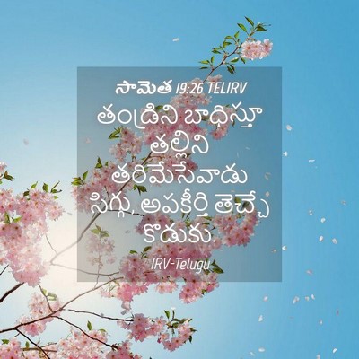 Picture 04 - సామెత 19:26 TELIRV - తండ్రిని బాధిస్తూ - Bible Verse Picture