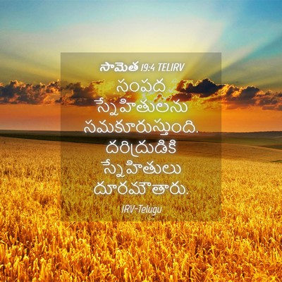 Picture 04 - సామెత 19:4 TELIRV - సంపద స్నేహితులను - Bible Verse Picture