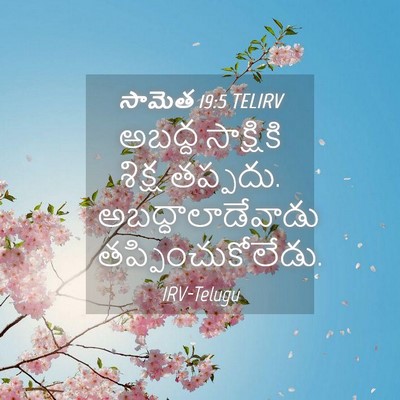 Picture 04 - సామెత 19:5 TELIRV - అబద్ద సాక్షికి - Bible Verse Picture