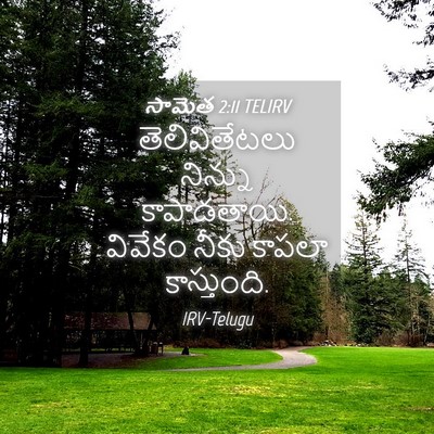 Picture 04 - సామెత 2:11 TELIRV - తెలివితేటలు - Bible Verse Picture
