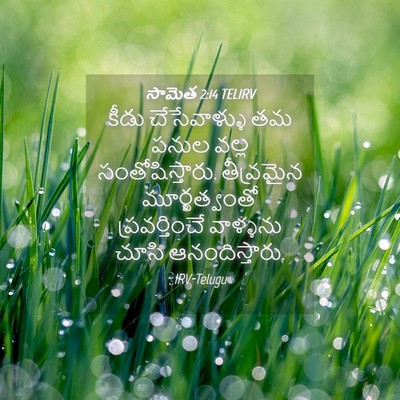 Picture 04 - సామెత 2:14 TELIRV - కీడు చేసేవాళ్ళు - Bible Verse Picture