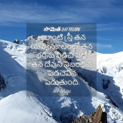 Picture 04 - సామెత 2:17 TELIRV - అలాంటి స్త్రీ తన - Bible Verse Picture