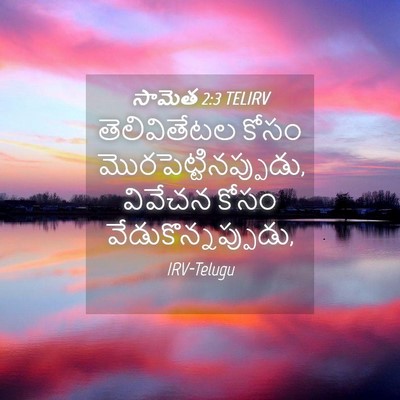 Picture 04 - సామెత 2:3 TELIRV - తెలివితేటల కోసం - Bible Verse Picture