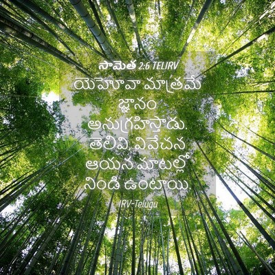 Picture 04 - సామెత 2:6 TELIRV - యెహోవా మాత్రమే - Bible Verse Picture