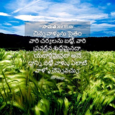Picture 04 - సామెత 20:11 TELIRV - చిన్నవాళ్ళను సైతం - Bible Verse Picture