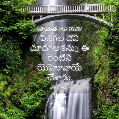 Picture 04 - సామెత 20:12 TELIRV - వినగల చెవి చూడగల - Bible Verse Picture