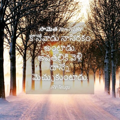 Picture 04 - సామెత 20:14 TELIRV - కొనేవాడు నాసిరకం - Bible Verse Picture