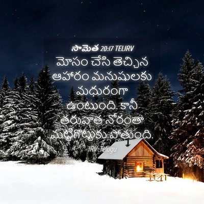 Picture 04 - సామెత 20:17 TELIRV - మోసం చేసి తెచ్చిన - Bible Verse Picture