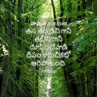 Picture 04 - సామెత 20:20 TELIRV - తన తండ్రిని గానీ - Bible Verse Picture