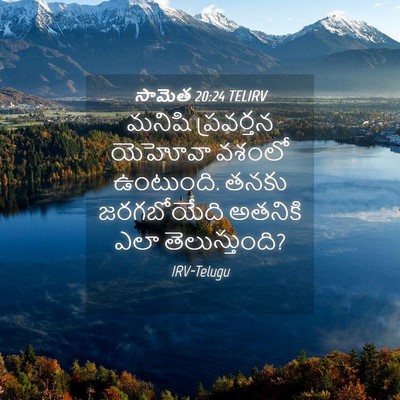 Picture 04 - సామెత 20:24 TELIRV - మనిషి ప్రవర్తన - Bible Verse Picture