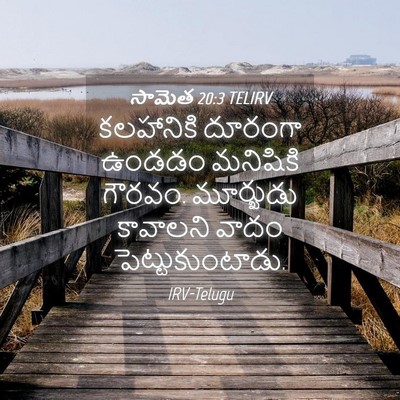 Picture 04 - సామెత 20:3 TELIRV - కలహానికి దూరంగా - Bible Verse Picture