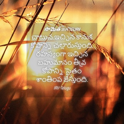 Picture 04 - సామెత 21:14 TELIRV - చాటున ఇచ్చిన - Bible Verse Picture