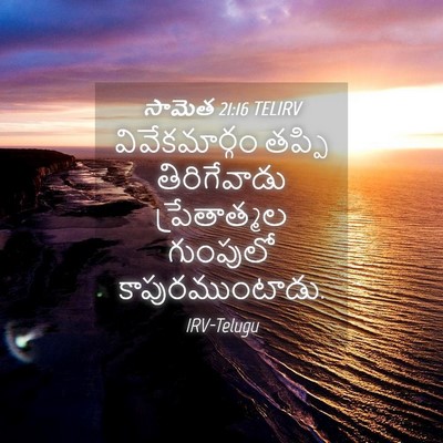 Picture 04 - సామెత 21:16 TELIRV - వివేకమార్గం తప్పి - Bible Verse Picture