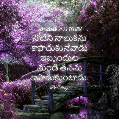Picture 04 - సామెత 21:23 TELIRV - నోటిని నాలుకను - Bible Verse Picture